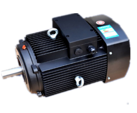 YE3系列(liè)多級泵(beng)專用電(diàn)機