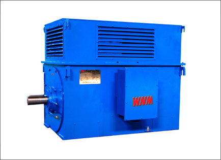 Y系列高壓(ya)高效三相(xiàng)異步電動(dòng)機