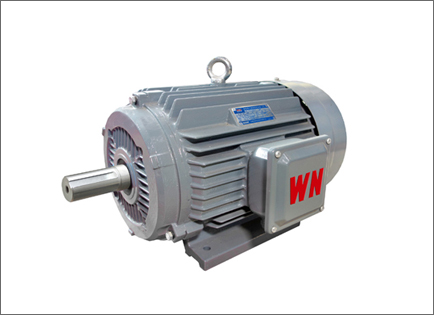 YE3系列超高(gāo)效三相異(yì)步電動機(ji)