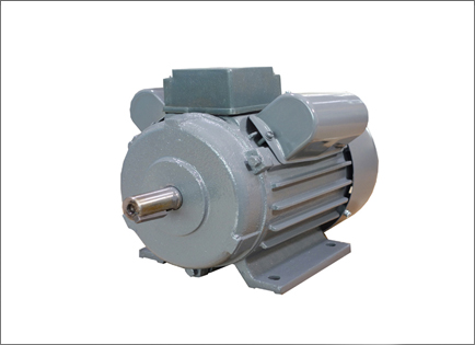 YL系列(liè)雙值電容異(yì)步電動機