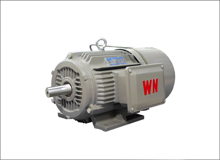 YEJ2系(xì)列電磁(cí)制動三(san)相異步(bù)電動機(jī)