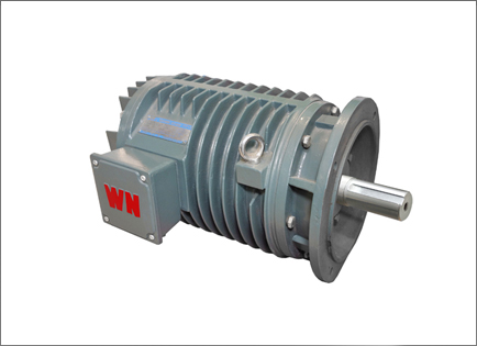 YG系列輥道(dào)用調速三(sān)相異步電(dian)動機