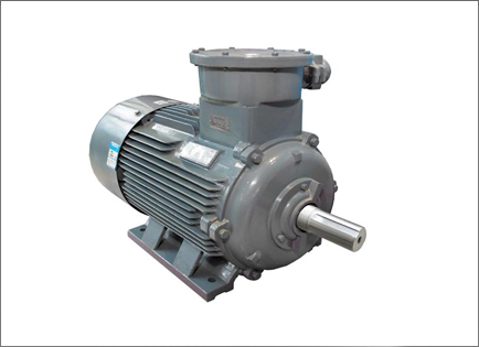 YBX3系列高效率(lü)隔爆型三相異(yì)步電動機