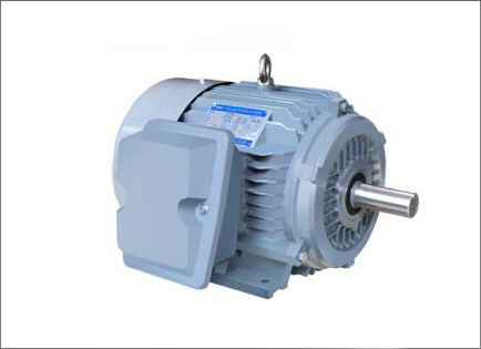 NE系列高(gāo)效高轉(zhuǎn)矩三相(xiang)異步電(diàn)動機