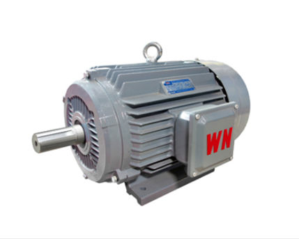 如何(hé)确定高(gao)效節能(neng)電機軸(zhou)承更換(huàn)時間