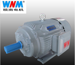 變頻(pín)電機優點有哪(nǎ)些